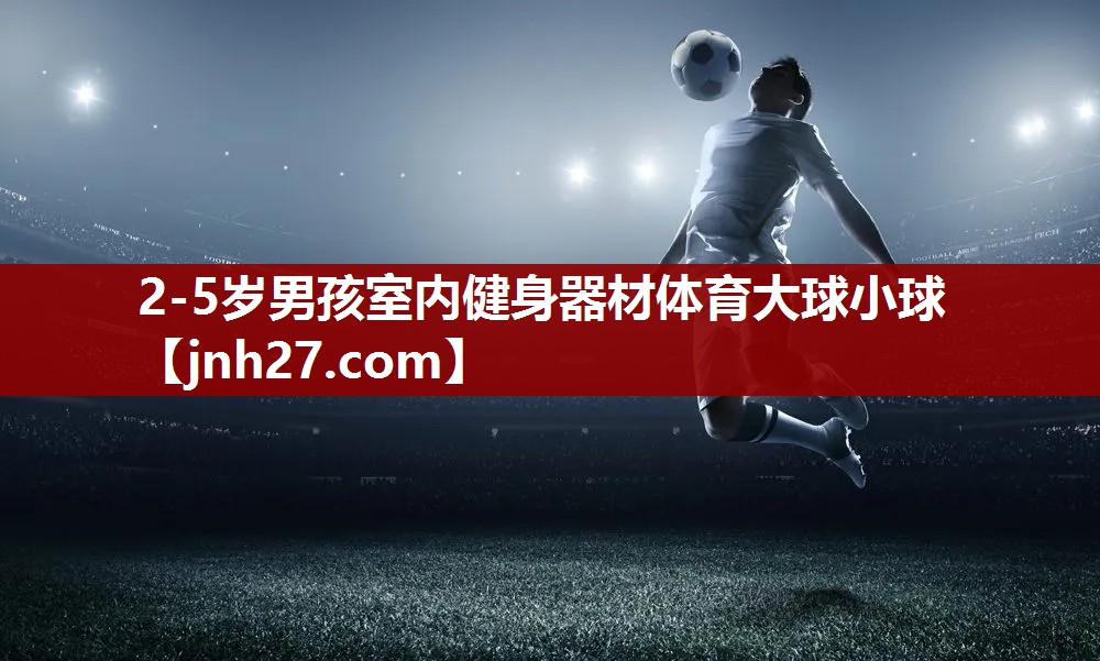 2-5岁男孩室内健身器材体育大球小球